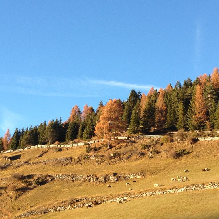 Agriturismo Maso Larciunei Selva di Val Gardena Ngoại thất bức ảnh