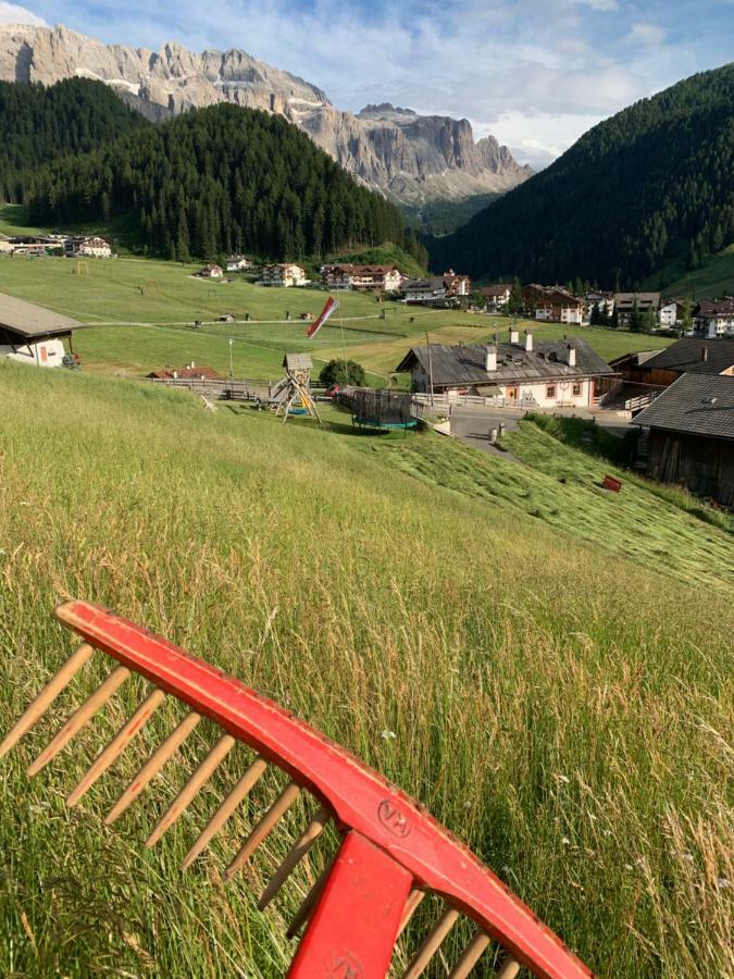 Agriturismo Maso Larciunei Selva di Val Gardena Ngoại thất bức ảnh